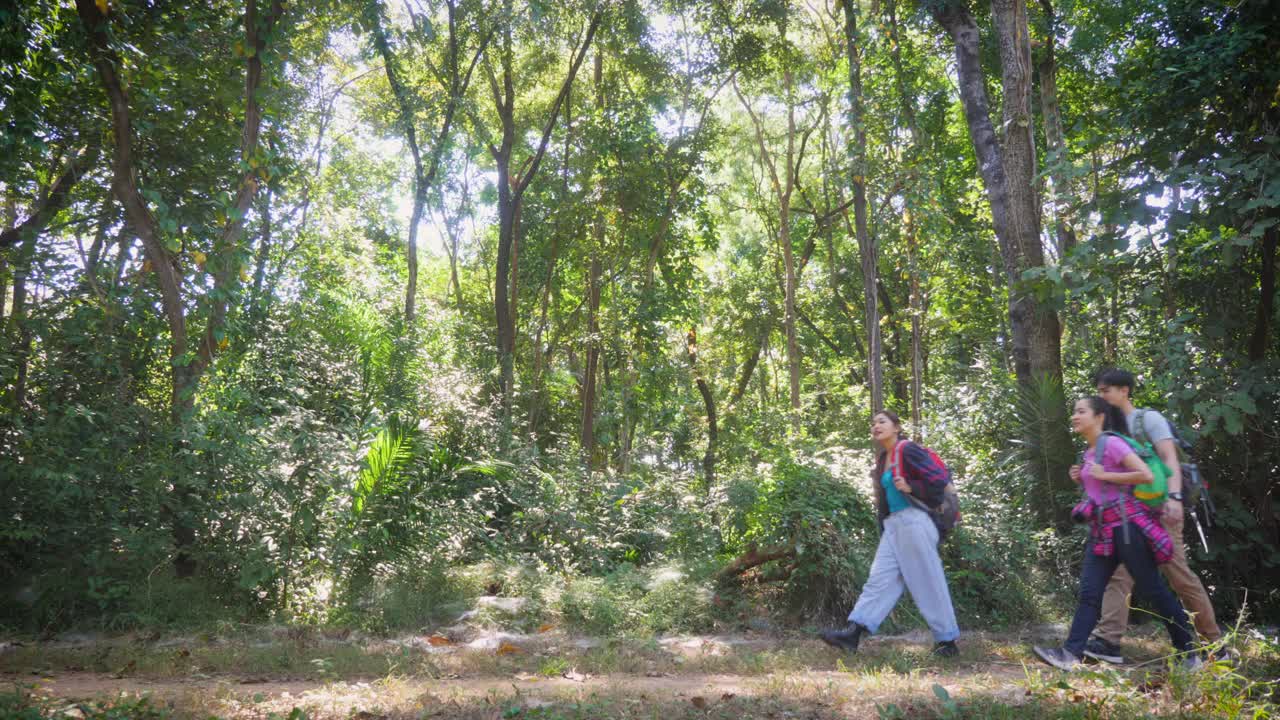 一小群亚洲年轻人与背包徒步旅行者交朋友，一起享受在森林小径上散步的乐趣视频素材