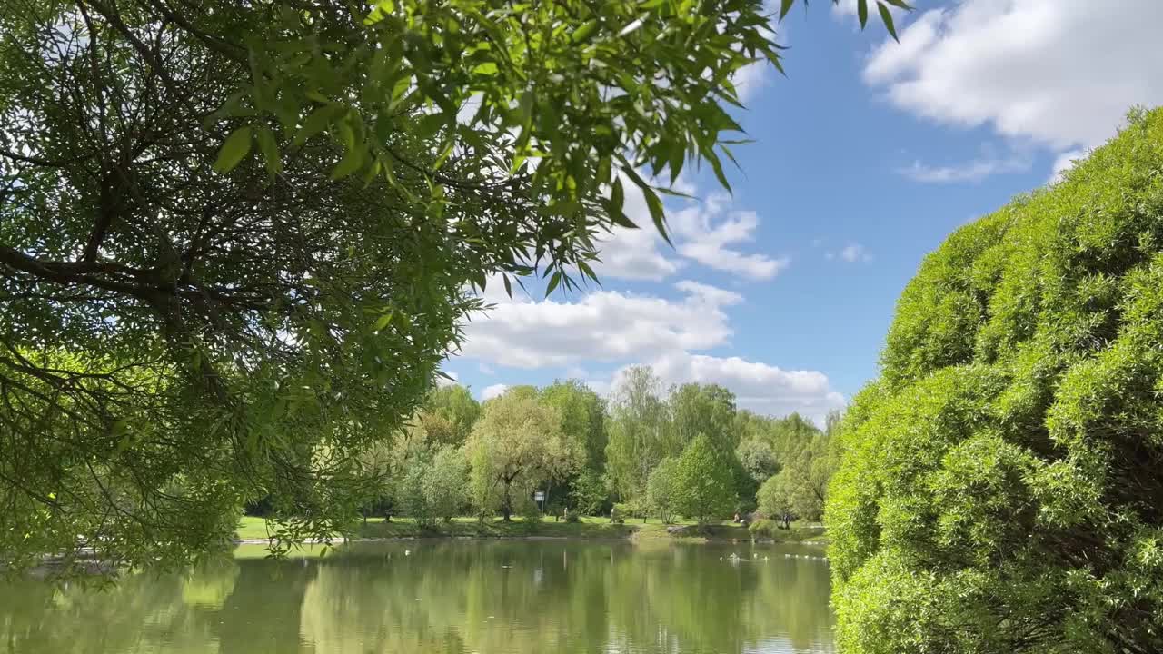 美丽的夏日风光。令人惊叹的早晨，平静的湖水和多彩的夏日森林的倒影视频素材