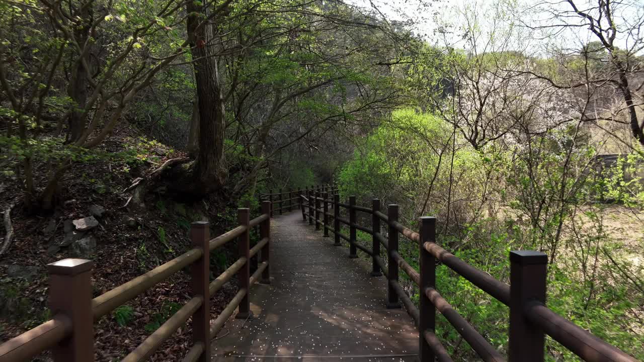 韩国江原道洪川郡的步行街风景视频素材