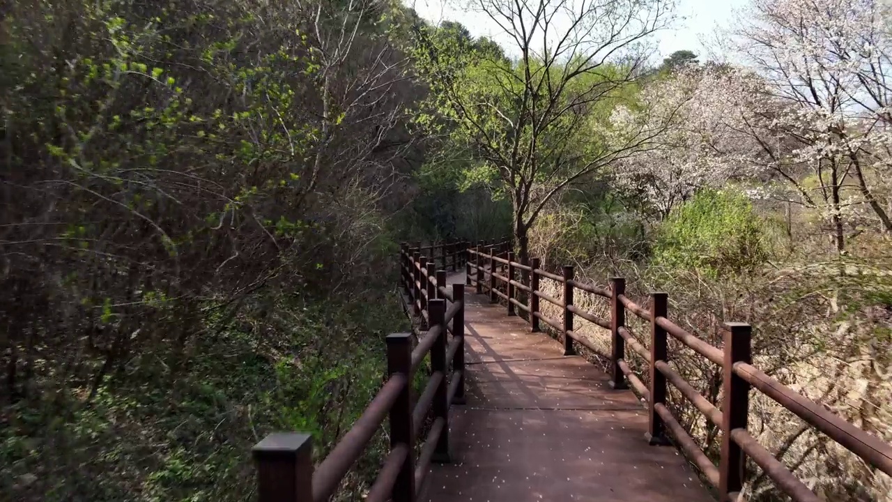 韩国江原道洪川郡的步行街风景视频素材