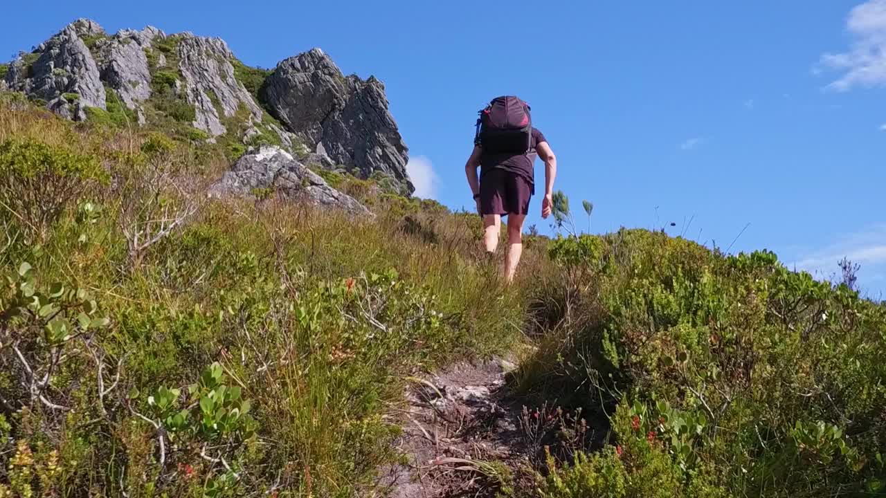 跟随一个年轻人在塔斯马尼亚的荒野中爬山的镜头视频素材