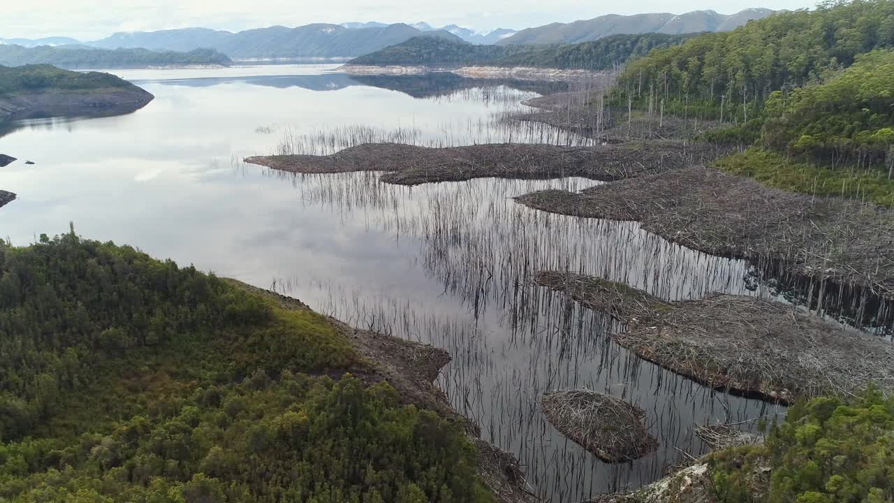 死树淹没在平静的湖水中，倒影着天空视频素材