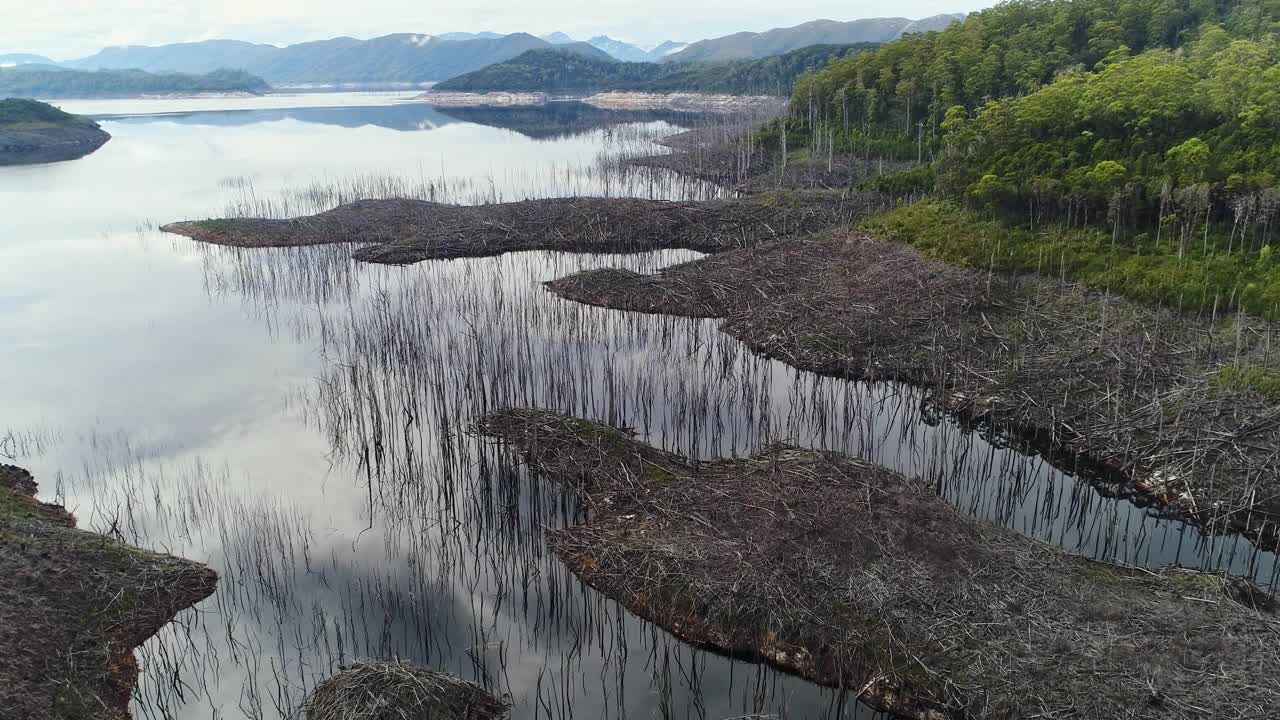 死树淹没在平静的湖水中，倒影着天空视频素材