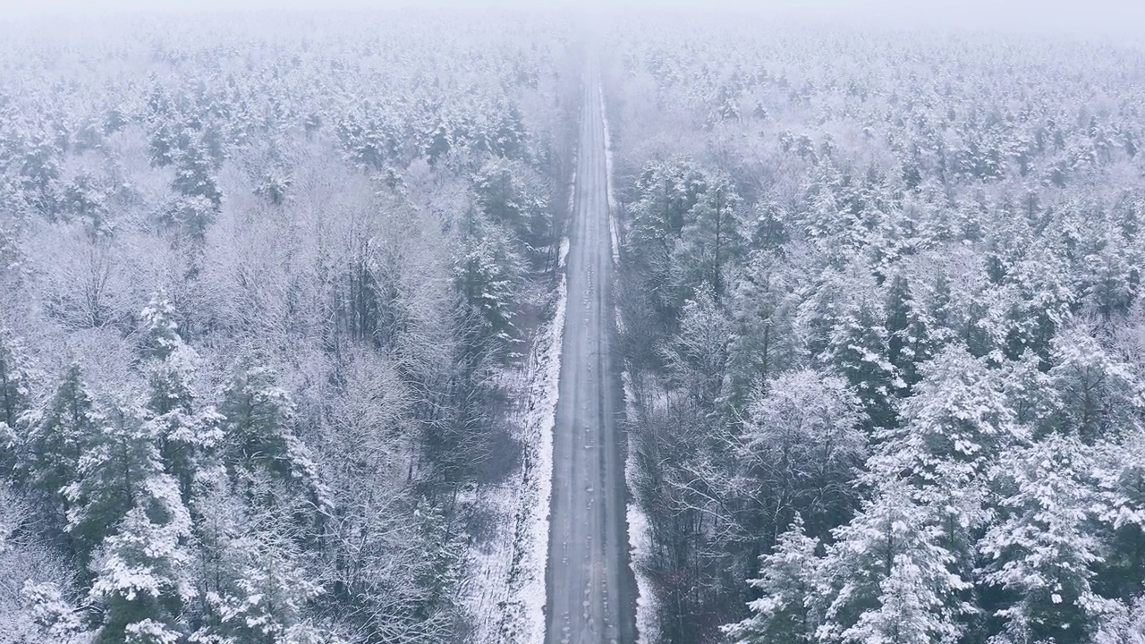 在冬天寒冷的日子里，穿过美丽的雪白森林的4K道路。鸟瞰飞行在惊人的松树林。景观。公园森林的风景。冬季霜冻森林的自然高架视图。雪针叶林视频素材