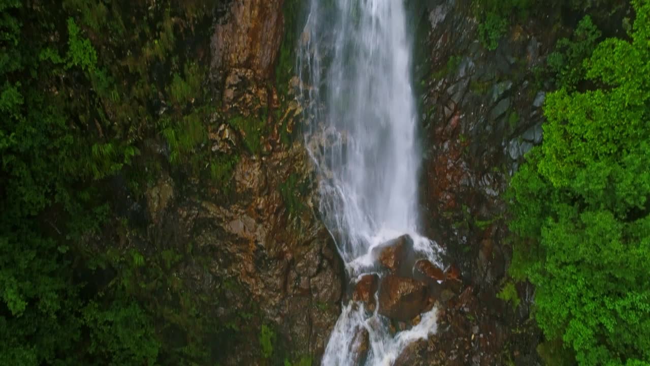 壮观的瀑布在塔斯马尼亚荒野的雨林中流动的鸟瞰图。视频素材