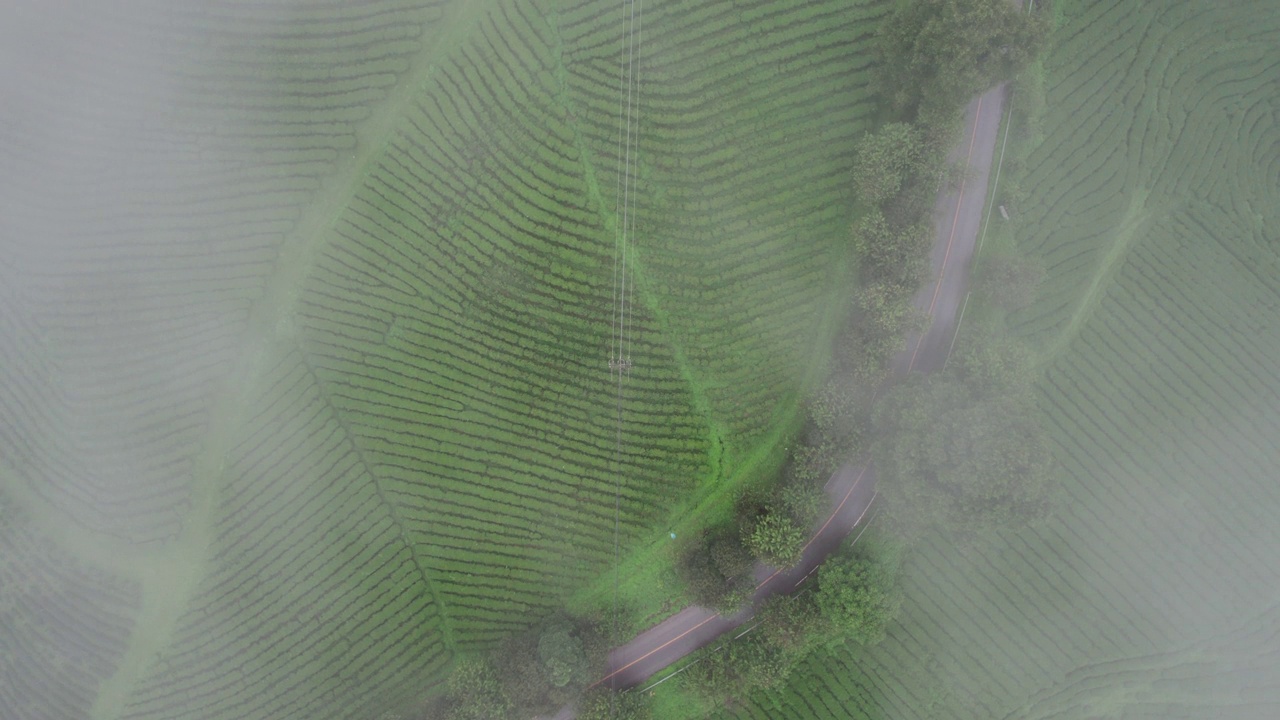 俯视乡村公路穿过绿色森林和山脉视频素材