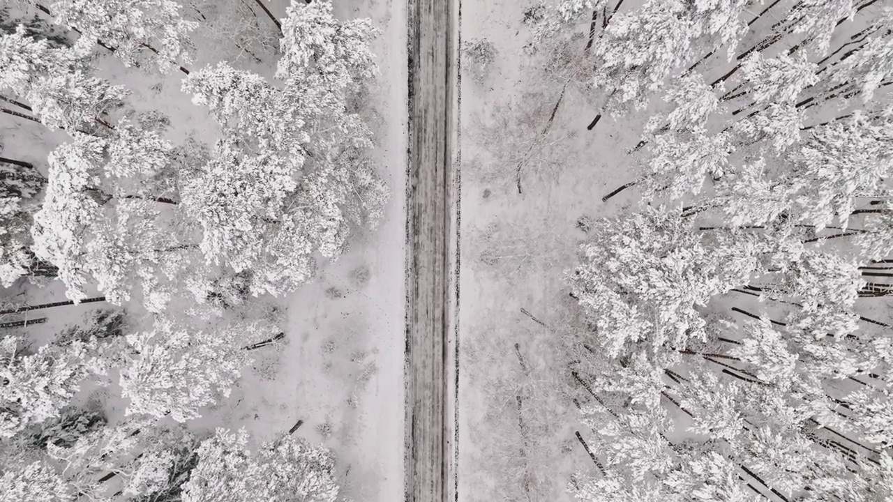 在波兰的冬天，飞越白色的森林和白雪覆盖的道路。视频素材