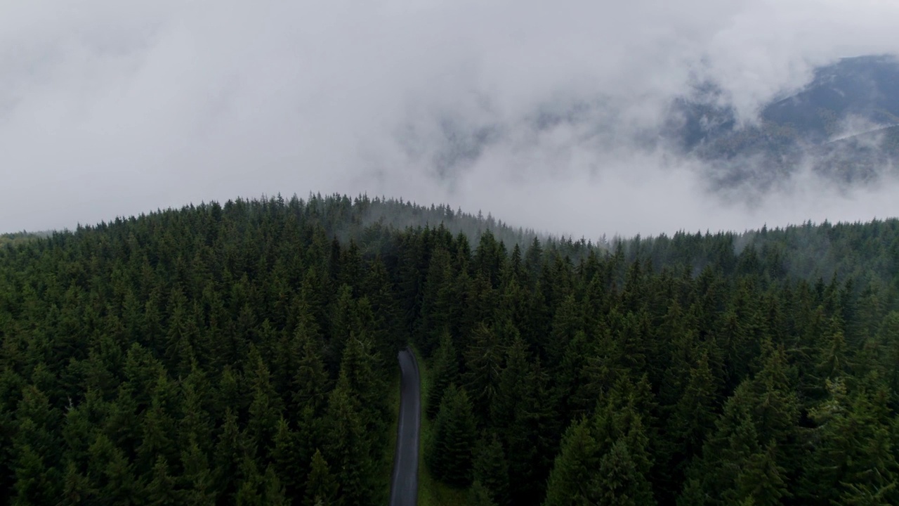 早晨的森林和小山在大雾天气。丛林的道路。鸟瞰图。4 k。视频素材