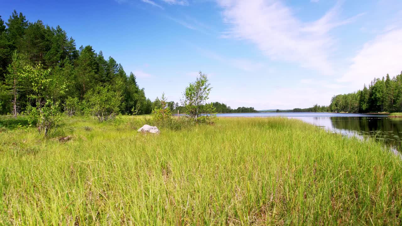 一个宁静的森林湖在北欧荒野的风景视频素材