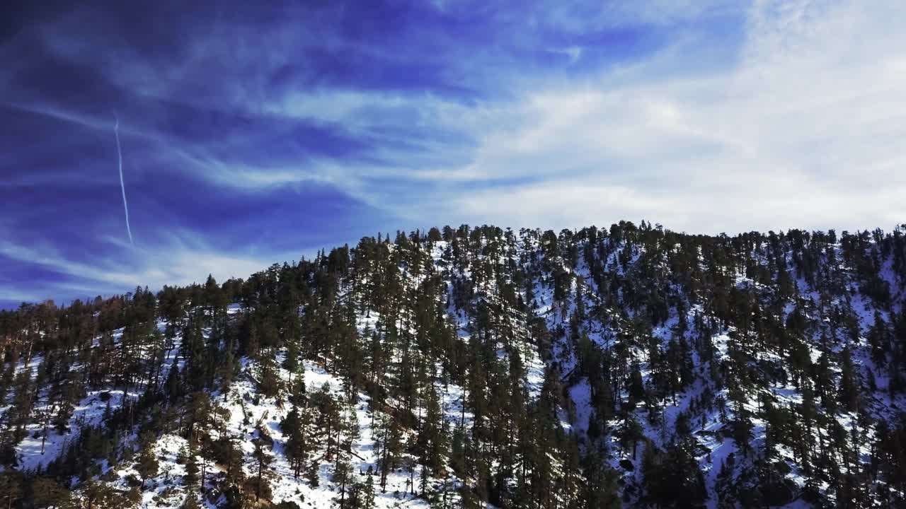 空中拍摄的落基山脉覆盖着树木和雪在一个阳光灿烂的日子视频素材