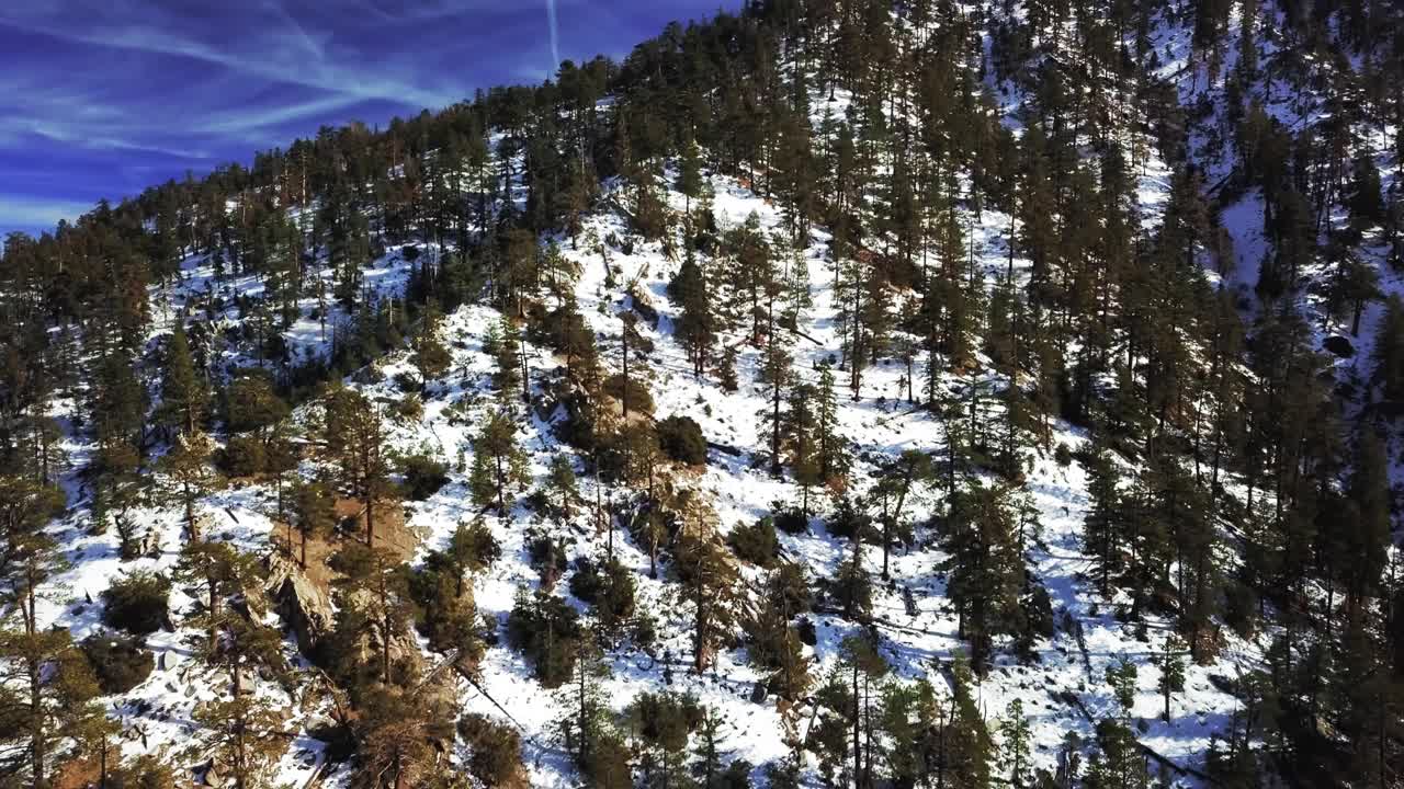 空中拍摄的落基山脉覆盖着树木和雪在一个阳光灿烂的日子视频素材