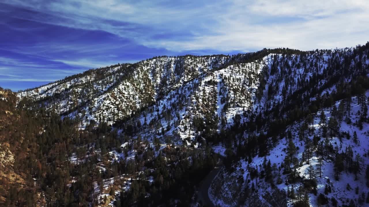 空中拍摄的落基山脉覆盖着树木和雪在一个阳光灿烂的日子视频素材