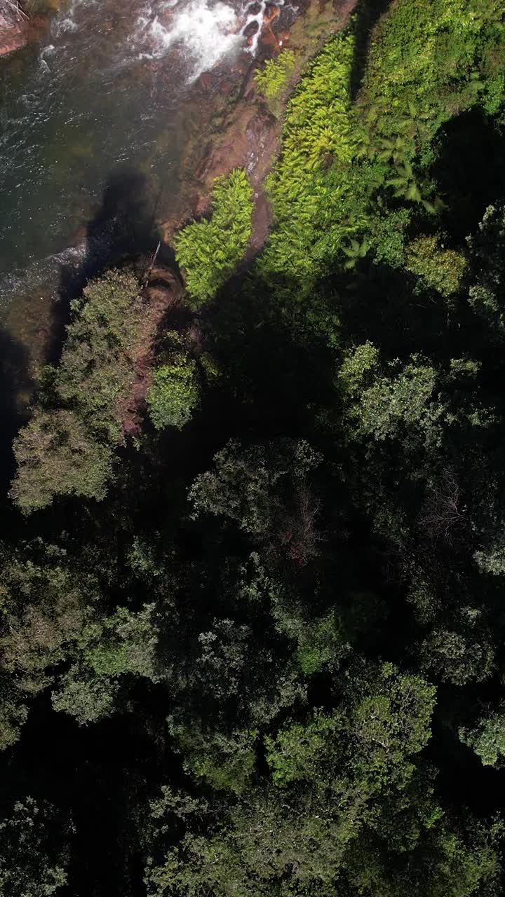 鸟瞰图:美丽的瀑布从森林的岩石上流过视频素材