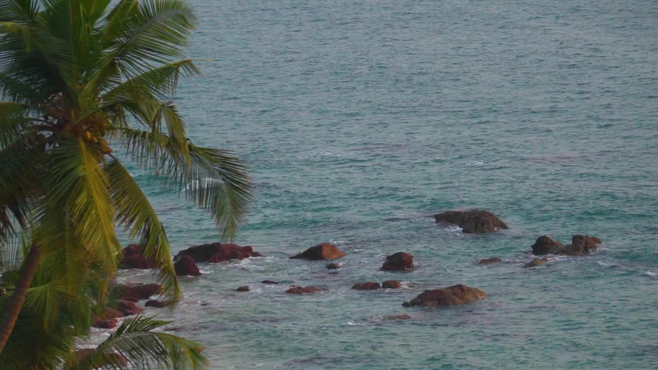 在印度果阿的Cabo De Rama海滩，棕榈树在海边。海浪拍打着海滩的岸边。夏季热带海滩背景。果阿海滩干净，没有游客。视频素材