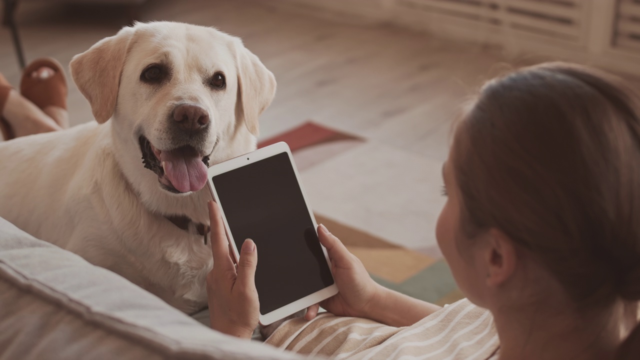 一名女子带着金毛猎犬在家里的沙发上使用平板电脑视频素材