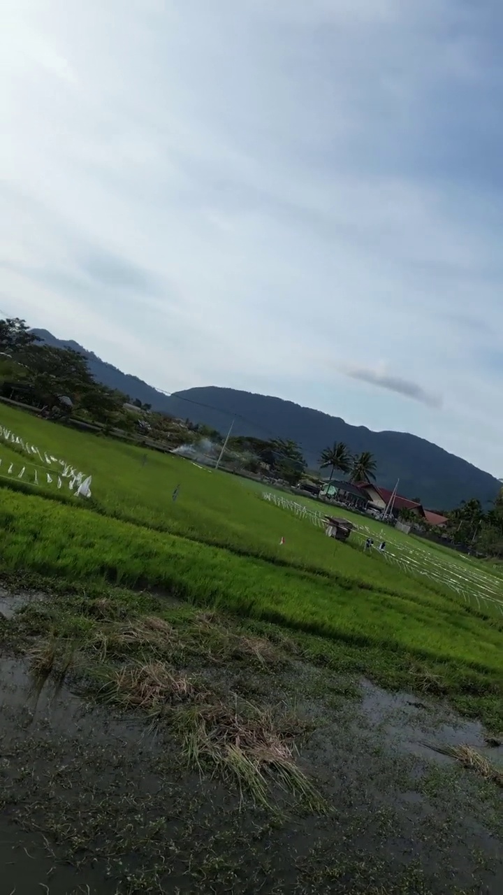 赖斯菲尔德（消歧义）视频素材