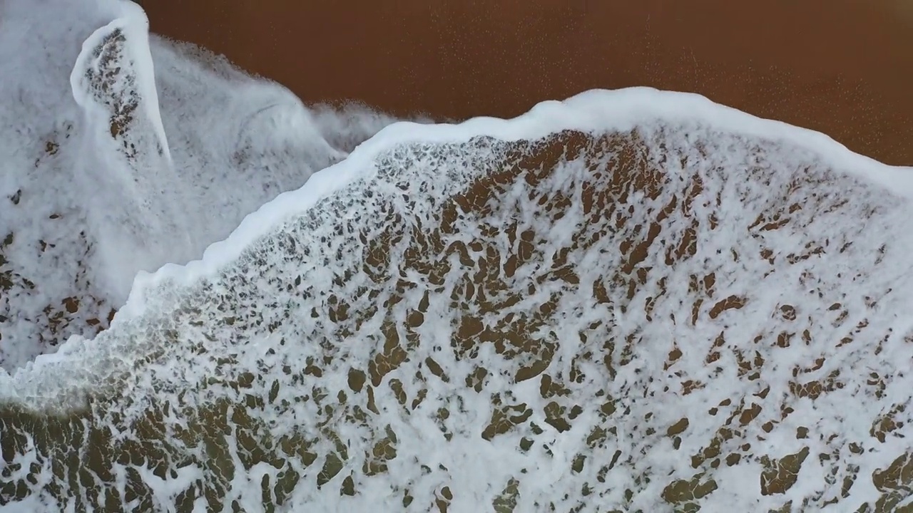 飞过海岸视频素材