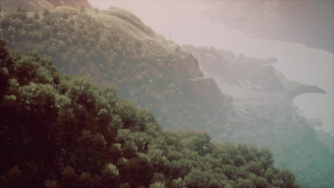 云雾弥漫的早晨，热带雨林的鸟瞰图视频素材