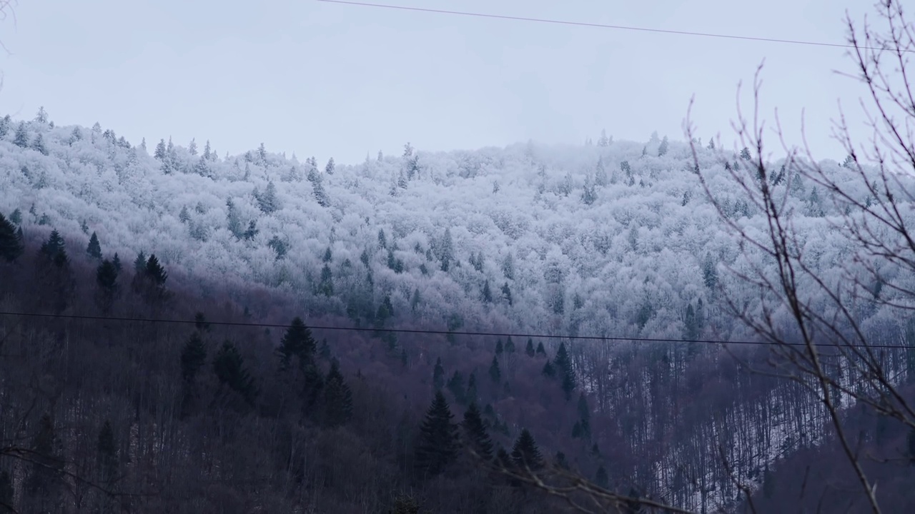 冬天冰雪覆盖的森林。视频素材