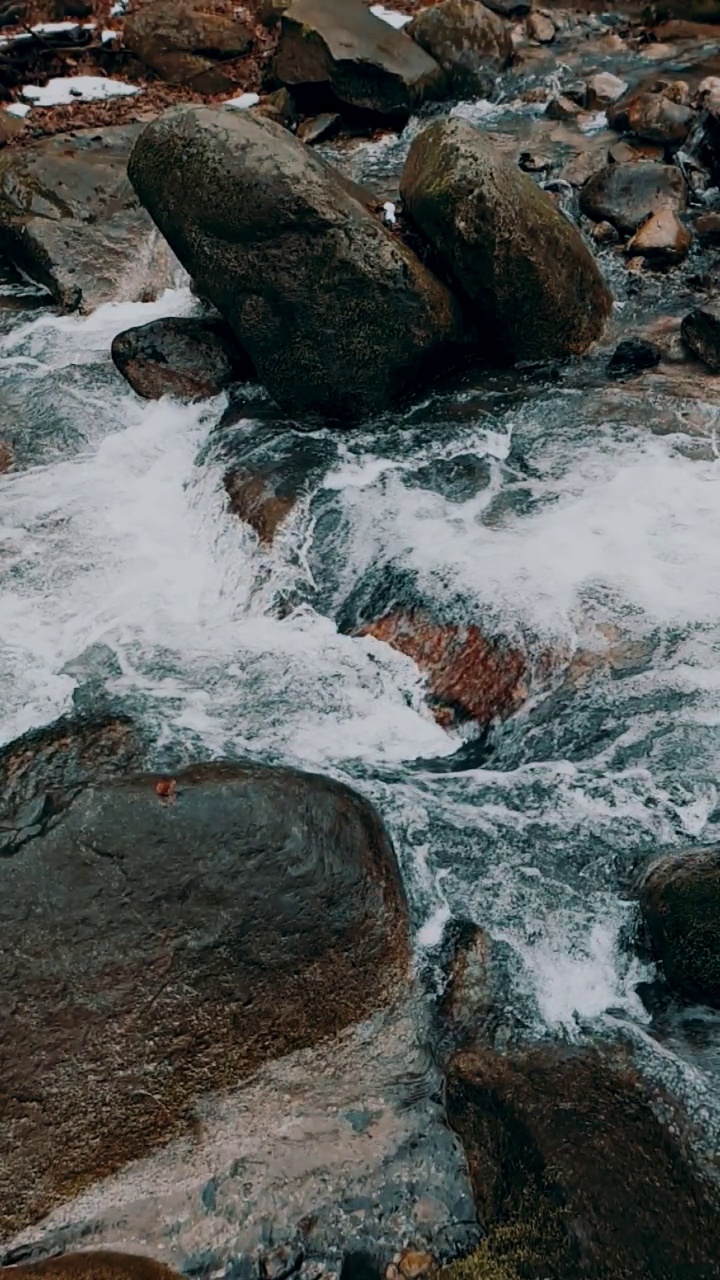 森林里的泉水视频素材