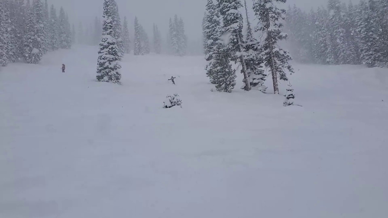 专家成熟女子大亨滑雪粉和大雪。科罗拉多州冬季公园滑雪场。视频素材