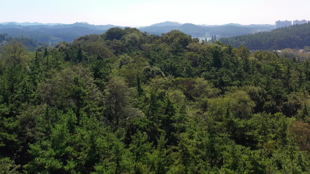 韩国全北郡山市银帕湖公园的风景视频素材