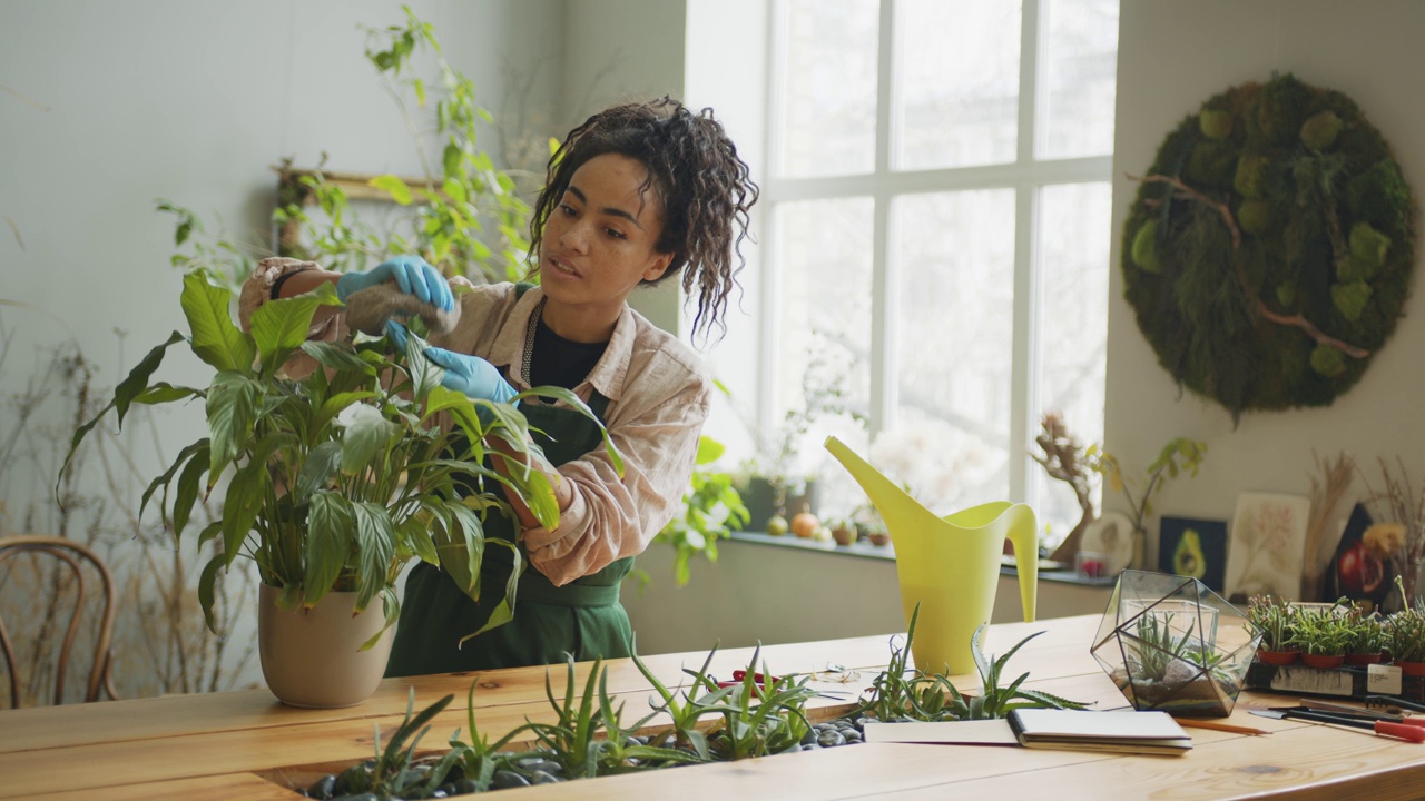 女园丁在工作时间在花卉工作室照顾花盆里的植物视频素材