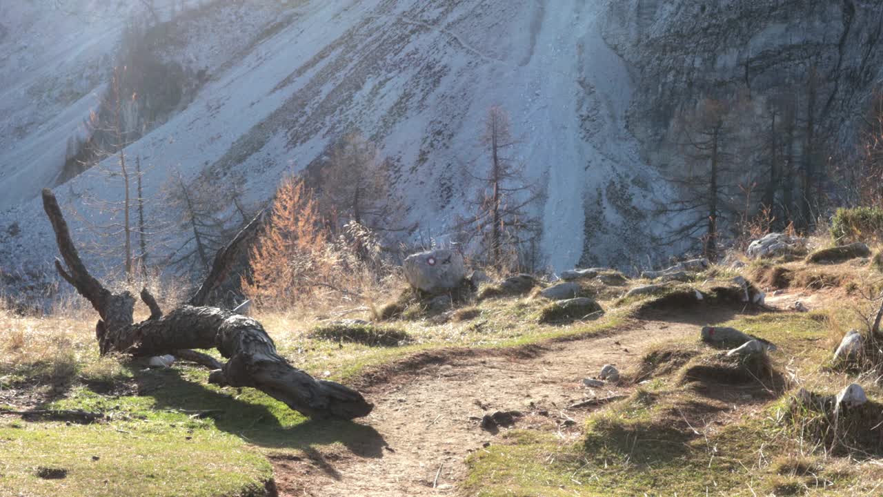 宁静的女子徒步旅行在秋天的高山环境独自一人在山的宁静视频素材