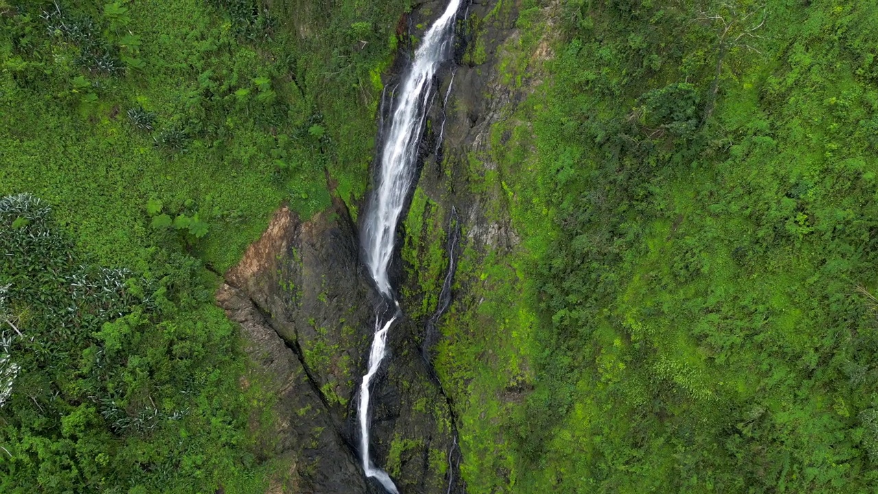 Salto de La Jalda的空中全景图。游览加勒比海最高的瀑布。多米尼加共和国的蓬塔卡纳视频素材