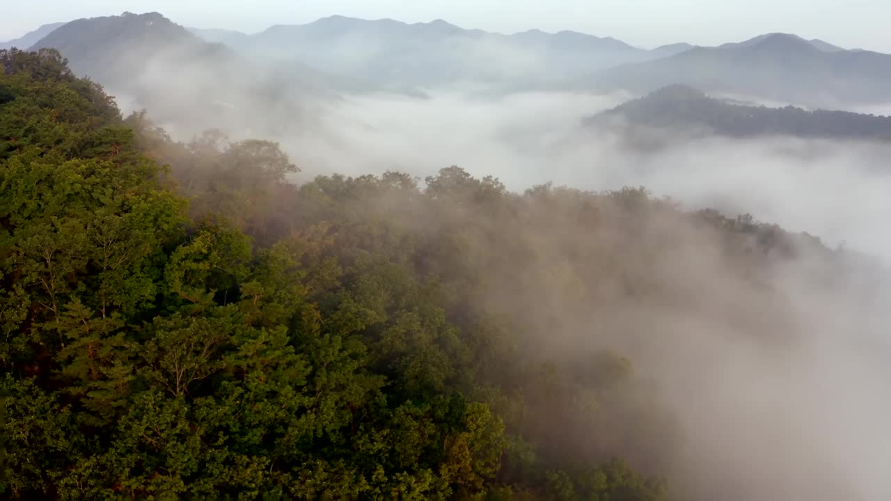 云海和日出在八峰山/洪川郡，江原道，韩国视频素材