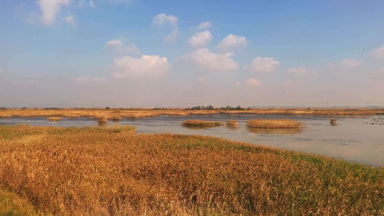 韩国京畿道华城市，候鸟保护区和华城湖周围的风景视频素材