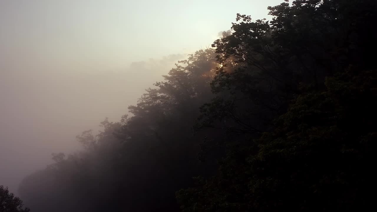 云海和日出在八峰山/洪川郡，江原道，韩国视频素材