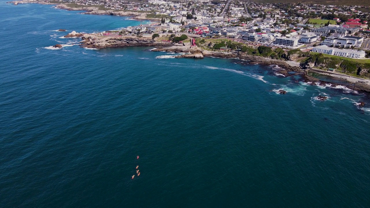 南非Hermanus，一群皮划艇手划着独木舟驶向岩石海岸线视频素材