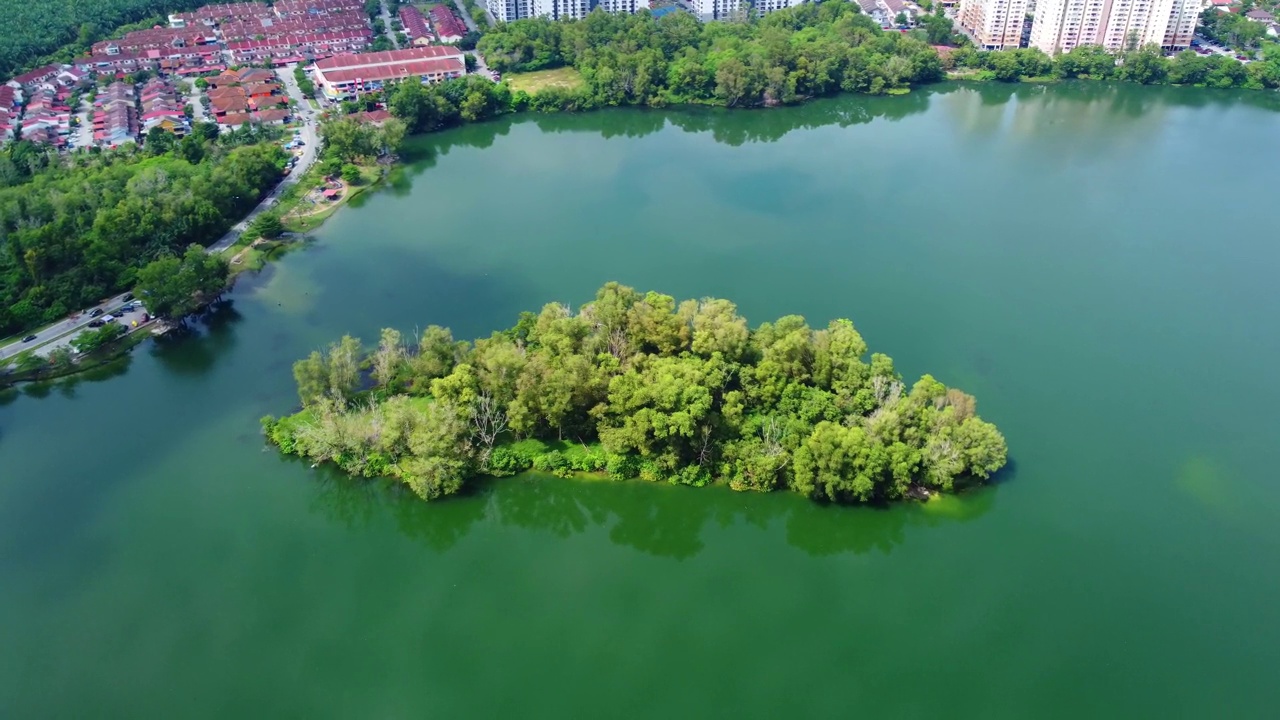 鸟瞰湖泊周围茂密的树木和建筑物视频素材