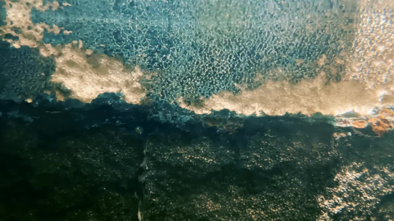 鱼在鱼缸里游泳。透明的水和美丽的鱼。鱼的背景视频素材