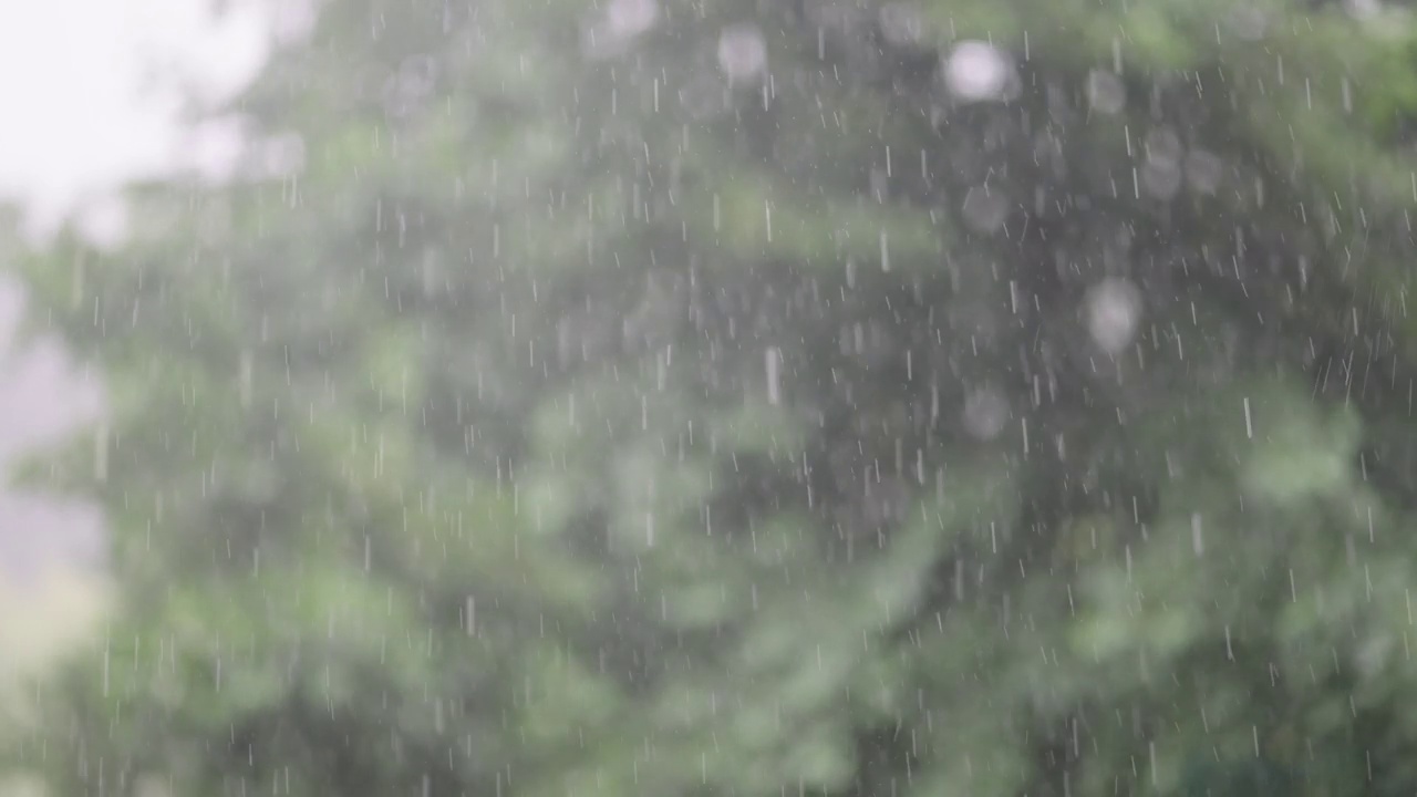 暴雨、阵雨、暴雨和强风对着模糊的森林树木的慢动作视频素材