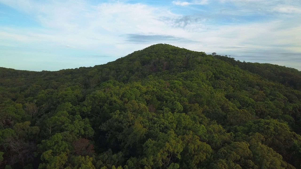 在热带森林顶部的空中拍摄，有小山和天空视频素材