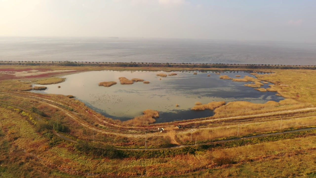 韩国京畿道华城市，候鸟保护区和华城湖周围的风景视频素材