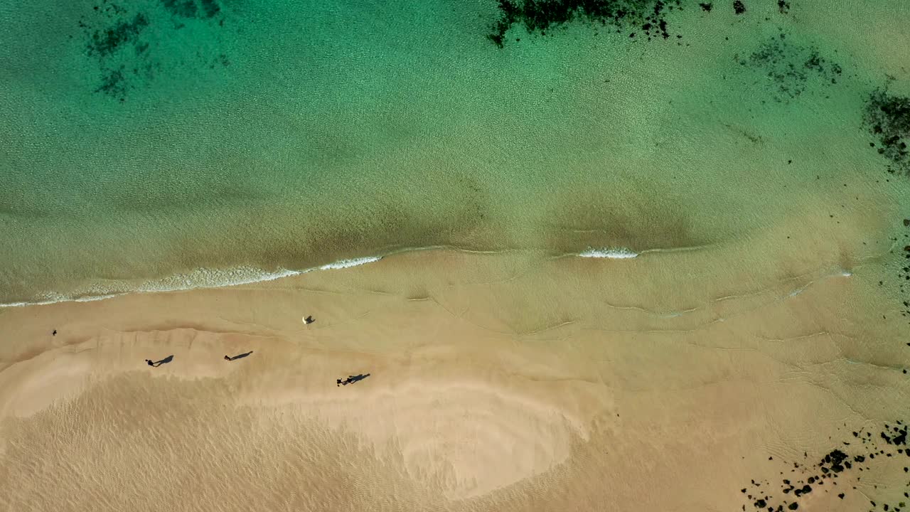 月井里海滩海浪/济州岛，韩国视频素材