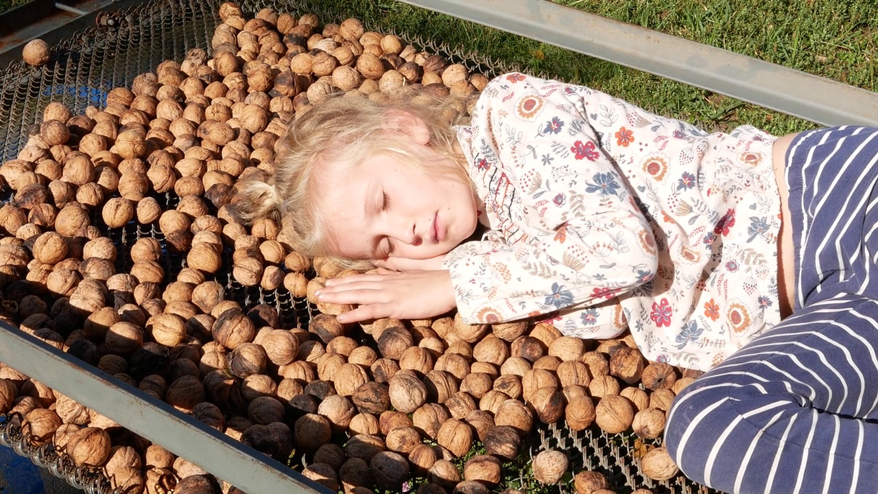 孩子在晒干的坚果上休息。视频下载