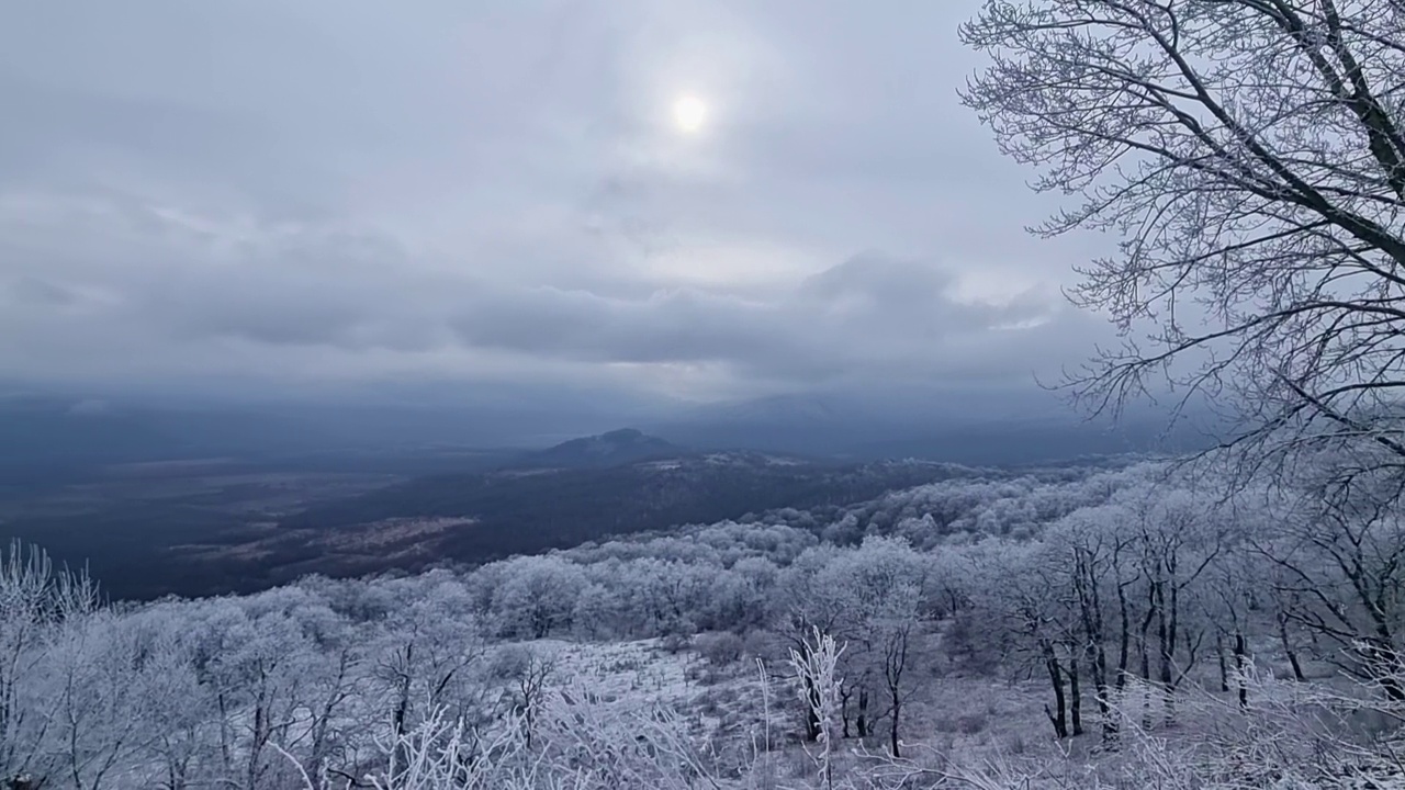 冬季山地景观。森林和山脉被白雪覆盖。视频素材