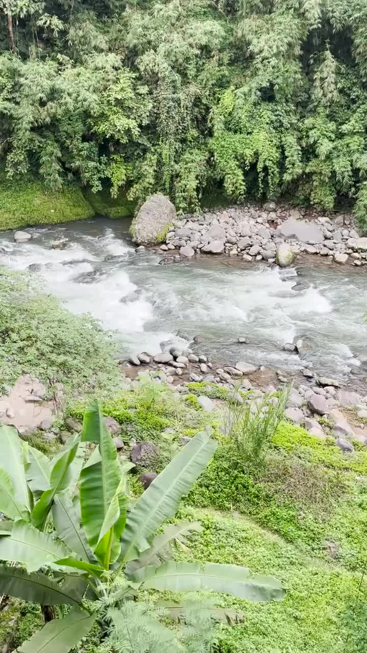 山区河流视频素材