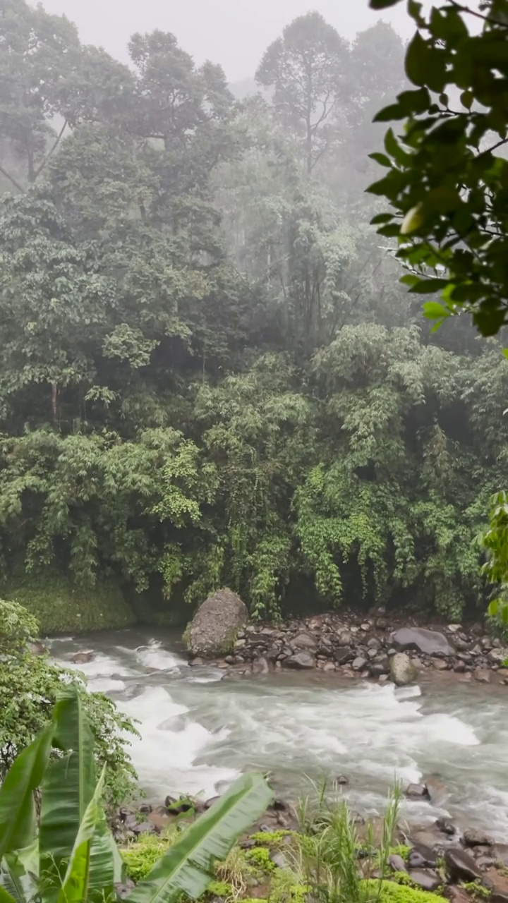 山区河流视频素材