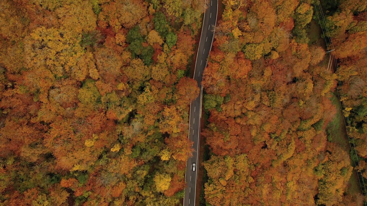 秋天，山上蜿蜒的道路鸟瞰图视频素材