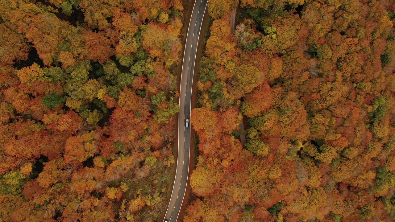 秋天，山上蜿蜒的道路鸟瞰图视频素材