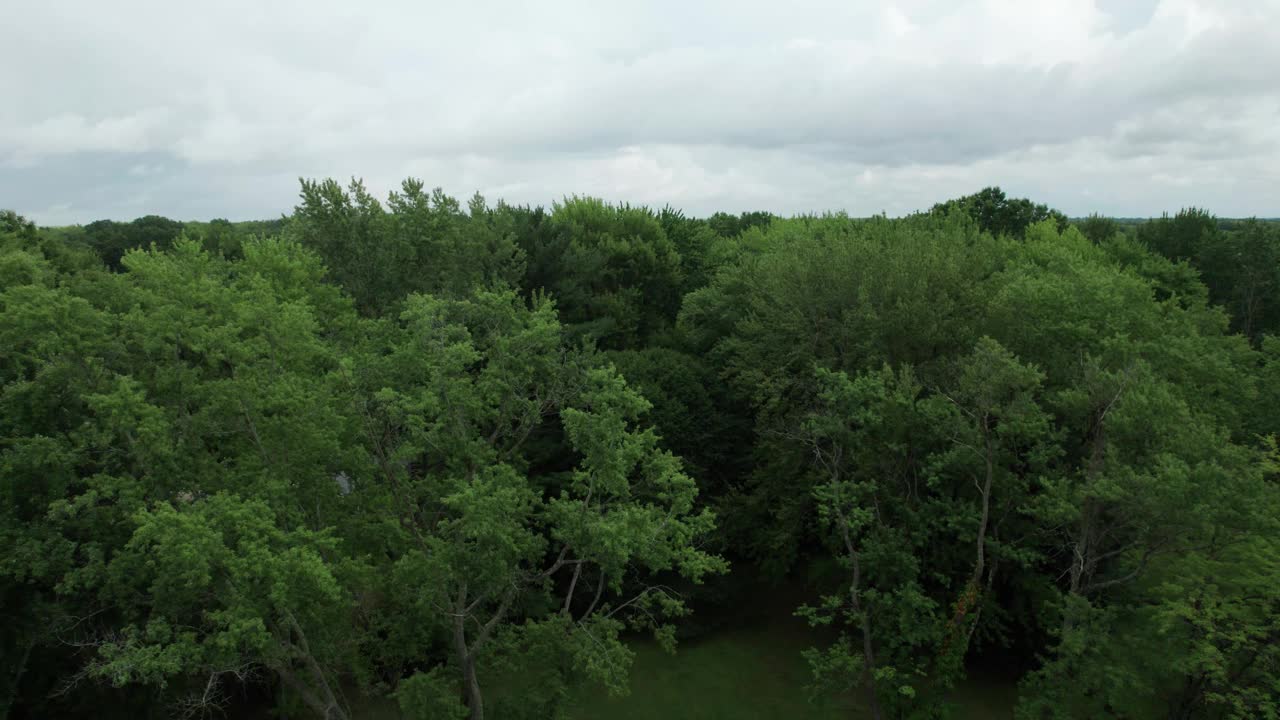 低空飞过种植园，宁静的绿色景观，俄亥俄州，美国视频素材