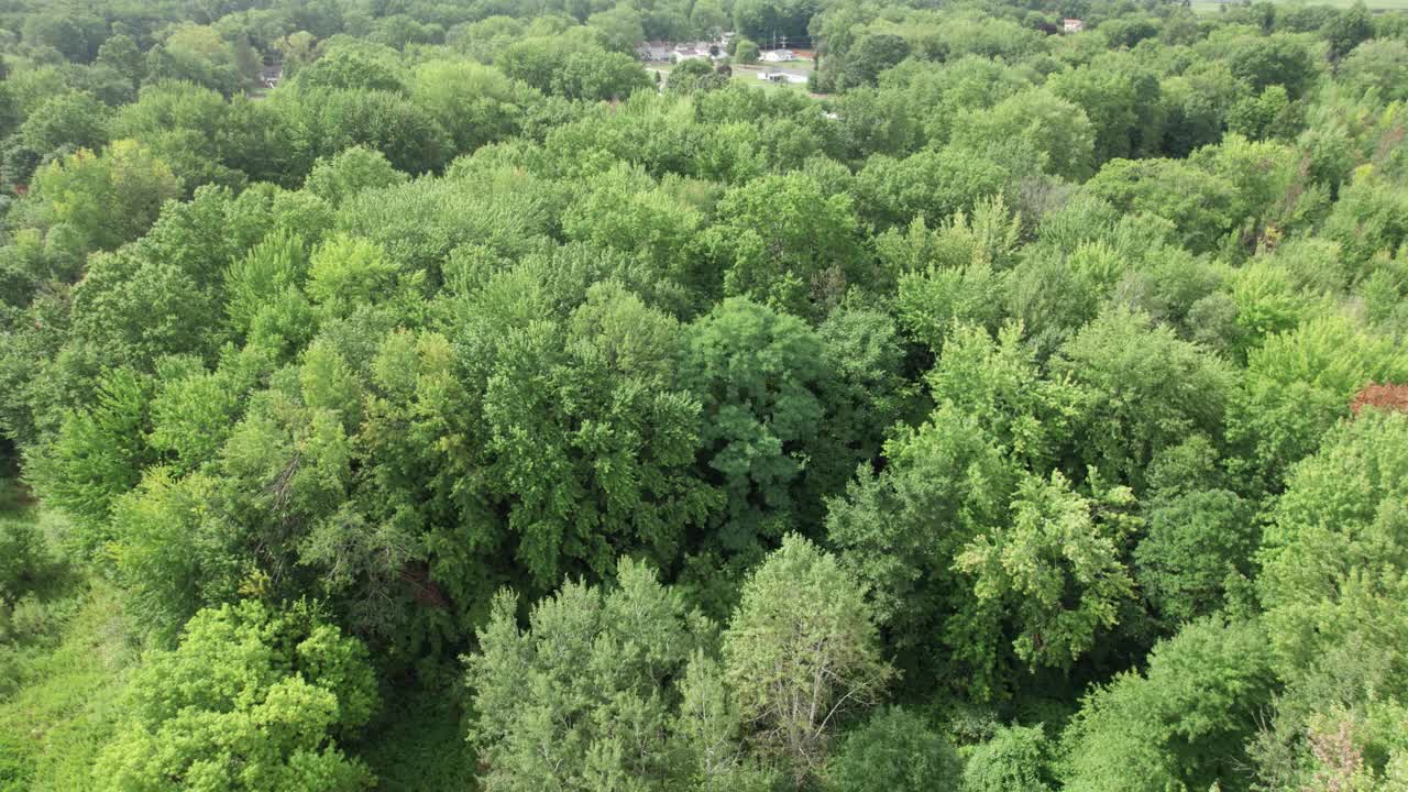 低空飞过种植园，宁静的绿色景观，俄亥俄州，美国视频素材