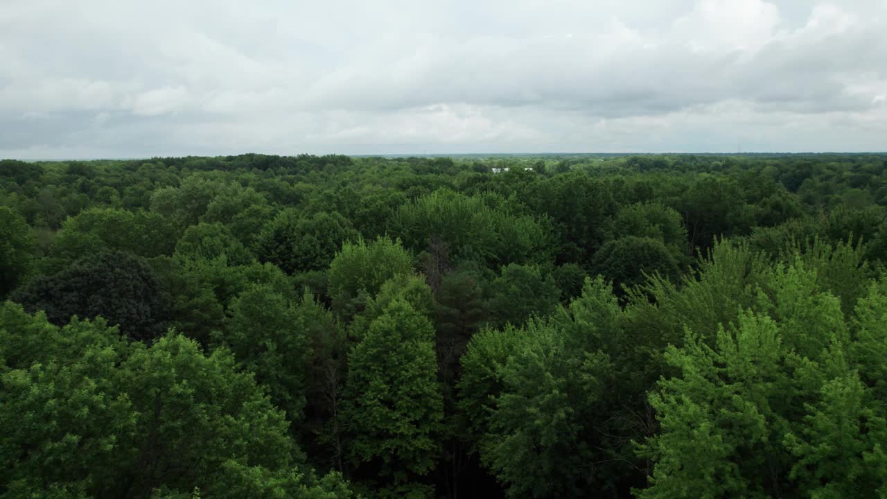 低空飞过种植园，宁静的绿色景观，俄亥俄州，美国视频素材