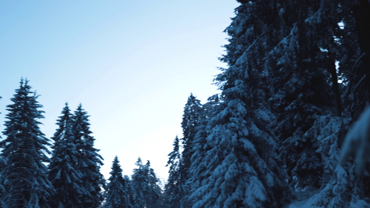 在白雪覆盖的黑暗冬季森林里，在树线后发现初升的太阳视频素材