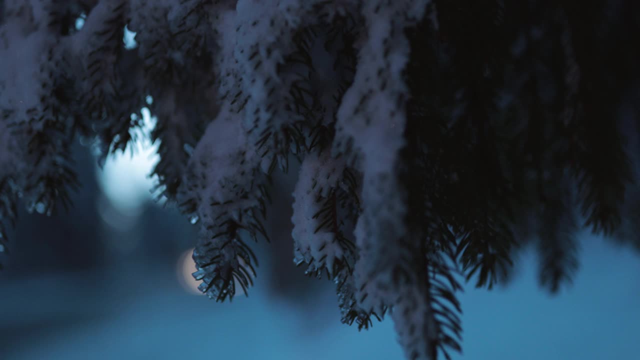 清晨，冬天的街道上覆盖着积雪，汽车驶过，可见黄昏视频素材